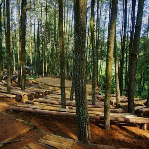 Paket Wisata Jogja One Day M3